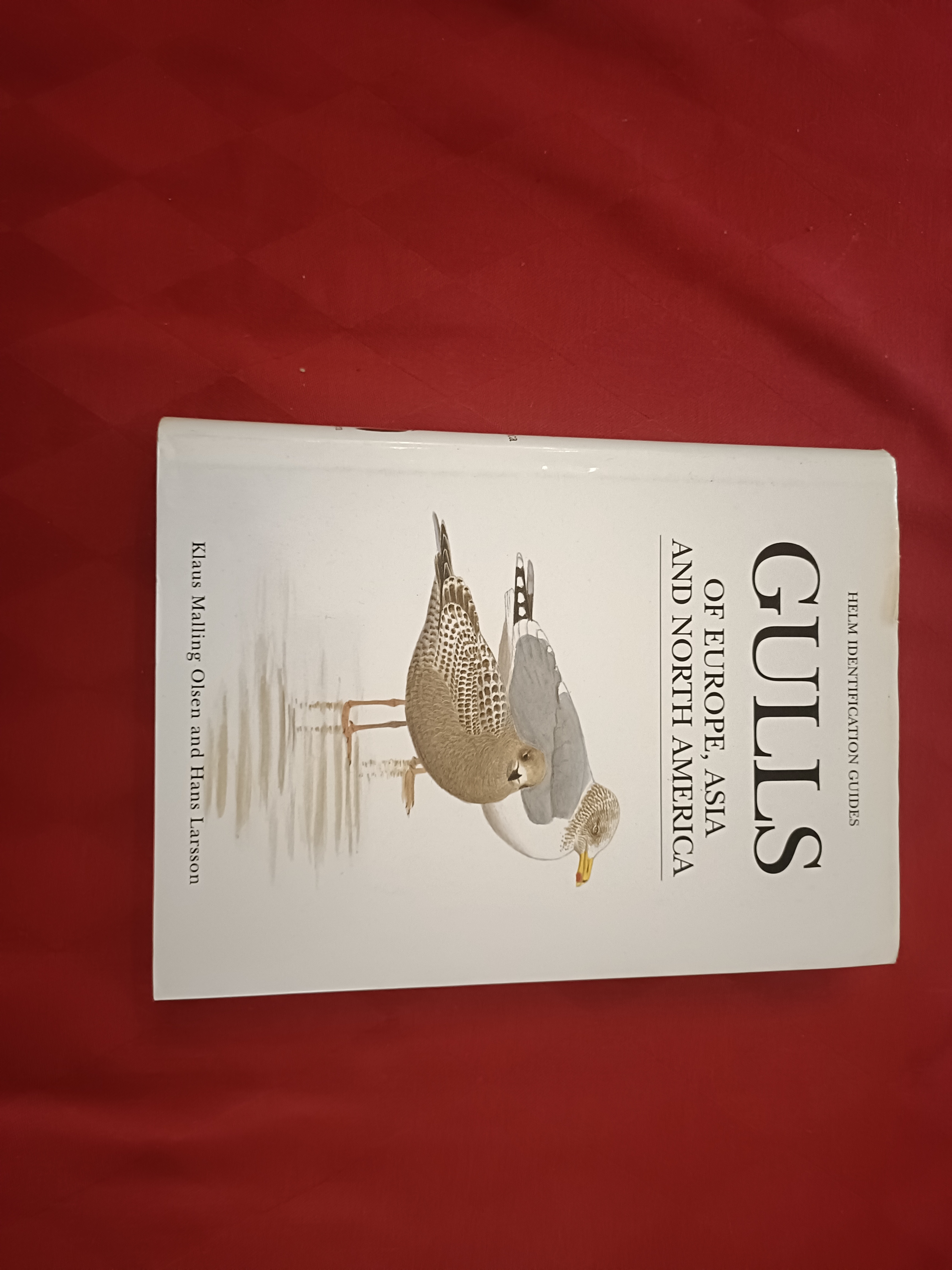 Gulls of Europe, Asia and North America