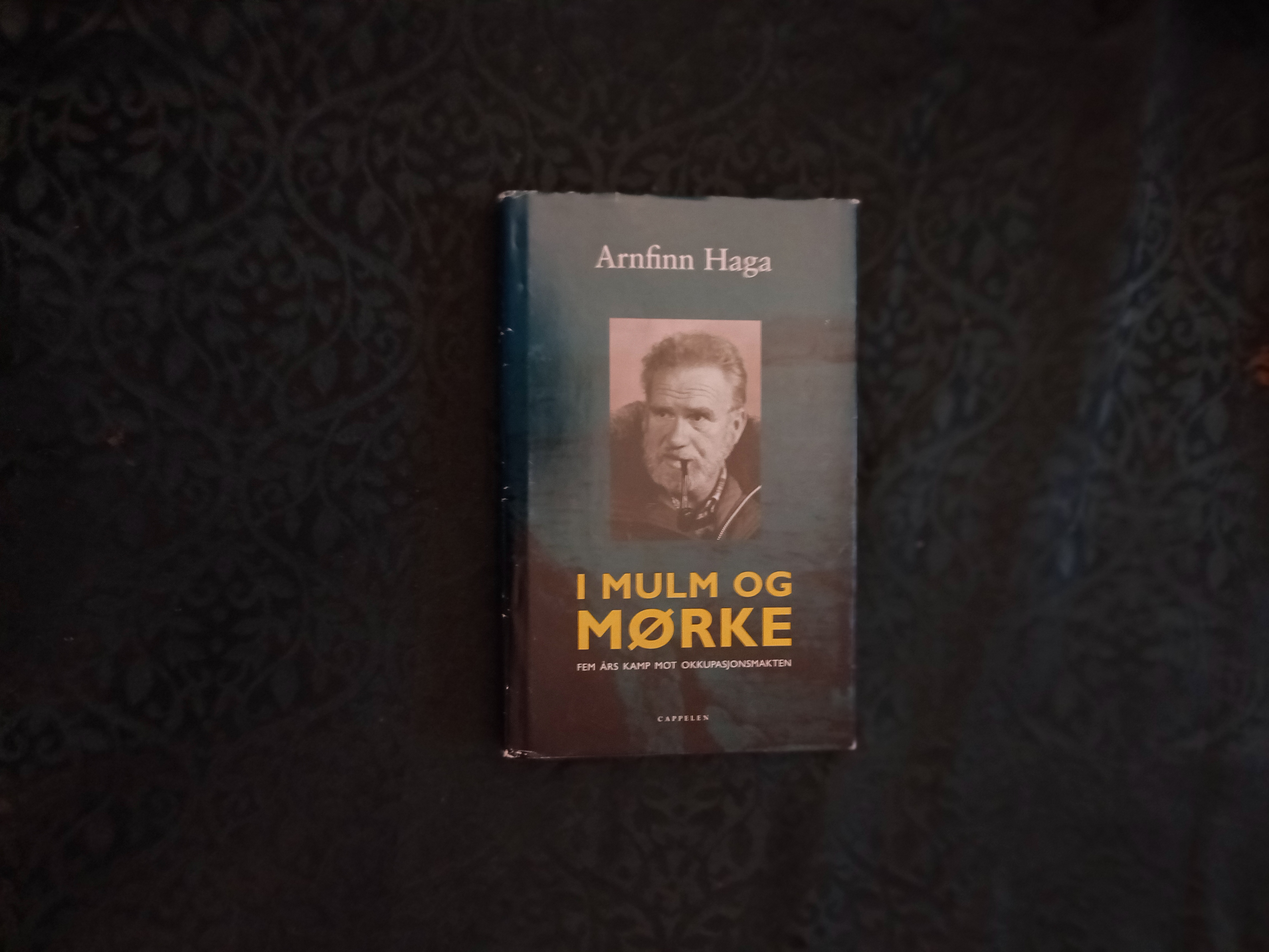 I mulm og mørke. Fem års kamp mot okkupasjonsmakten