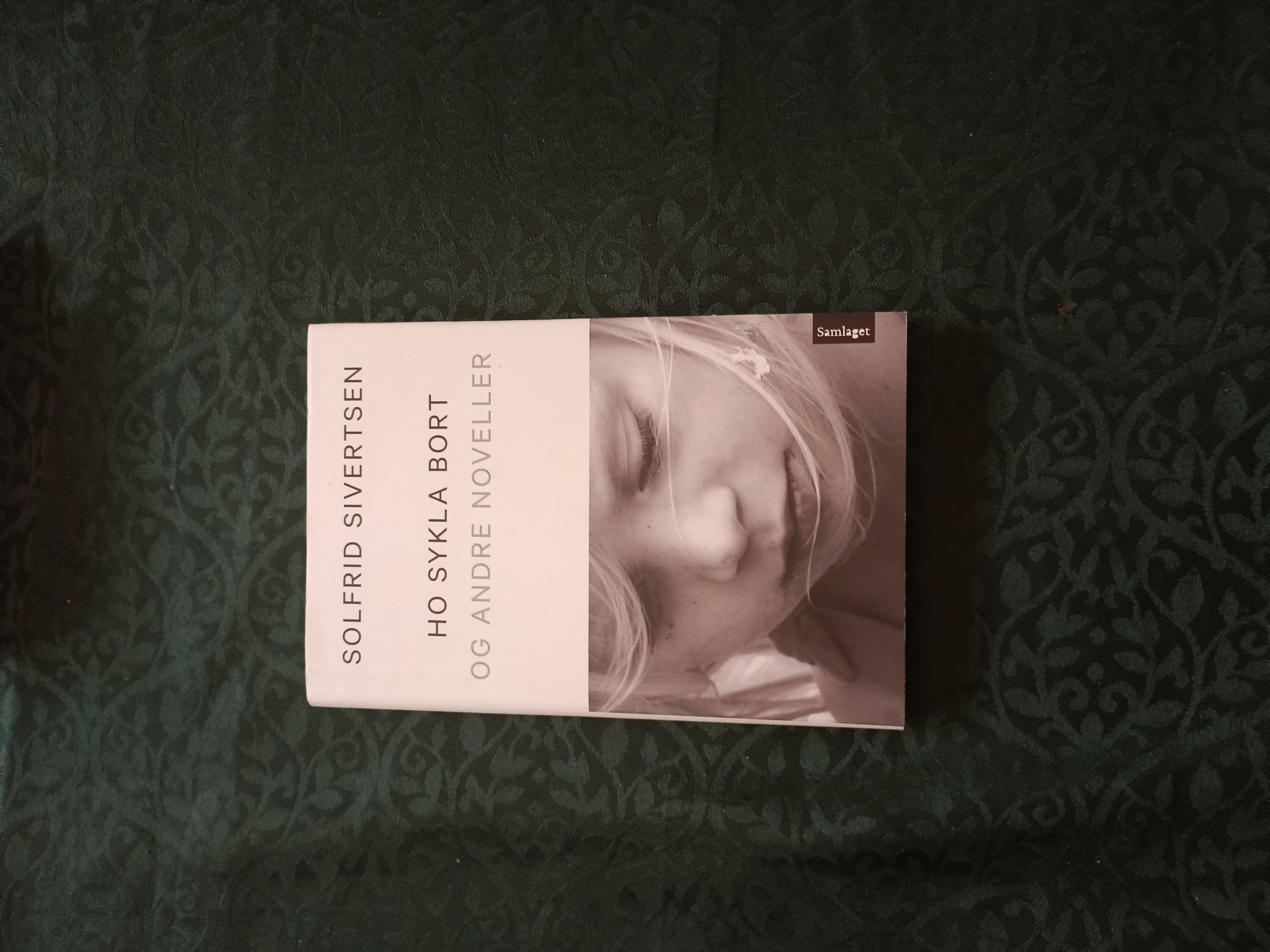 Ho sykla bort og andre noveller