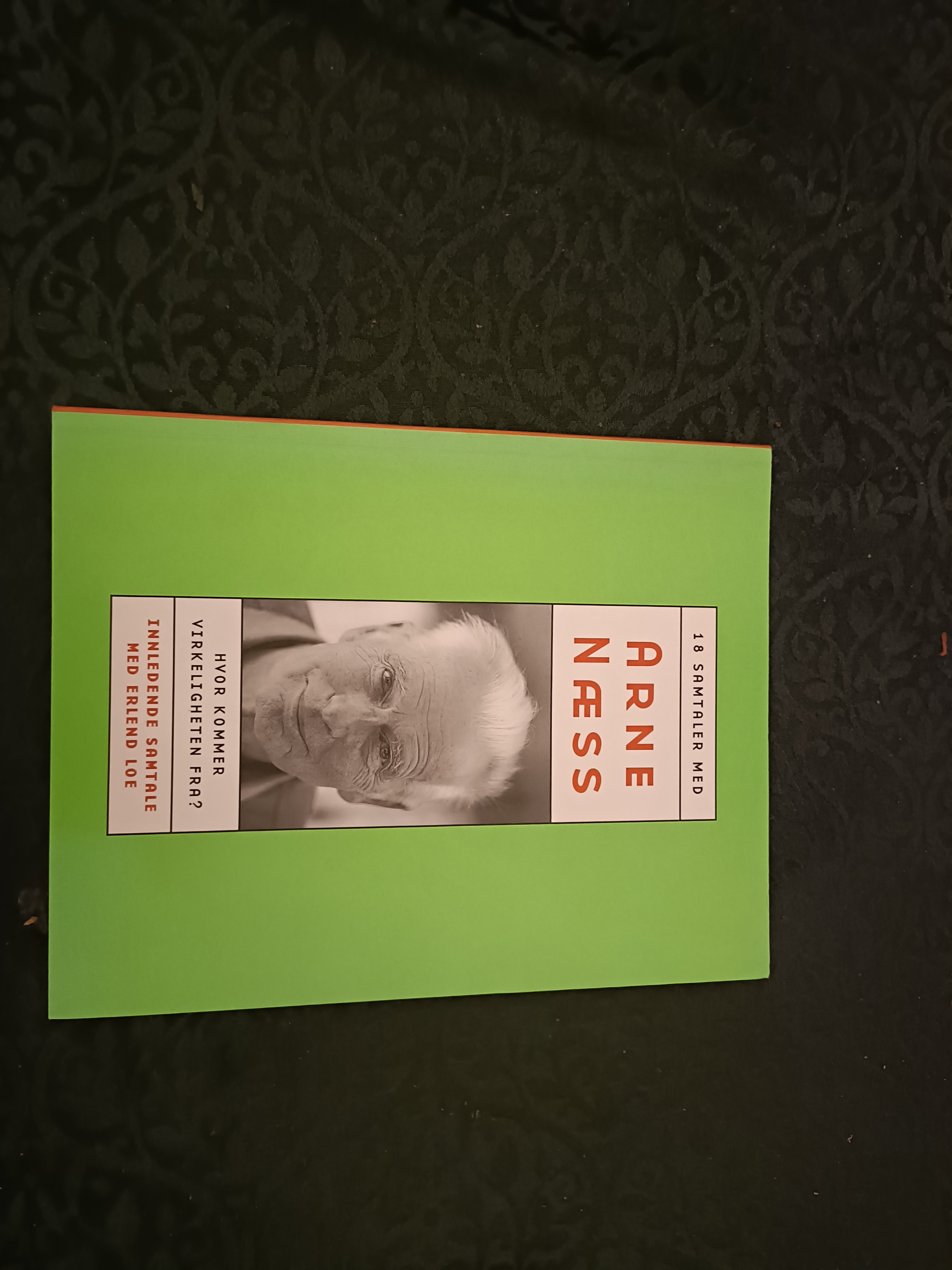 Hvor kommer virkeligheten fra? Samtaler med Arne Næss. Innledende samtale med Erling Loe. 
